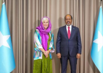 EU’s New Ambassador to Somalia Presents Credentials to President Hassan Sheikh