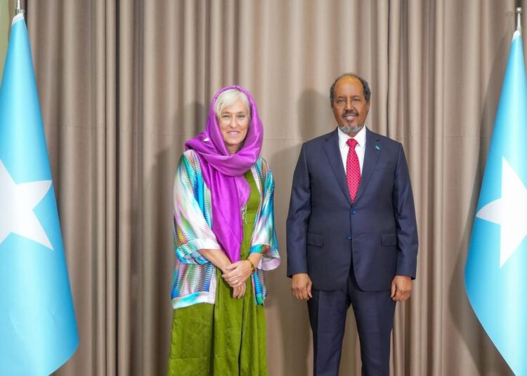 EU’s New Ambassador to Somalia Presents Credentials to President Hassan Sheikh