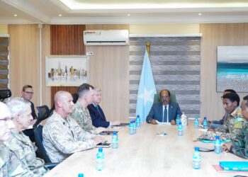 Somali President Meets New AFRICOM Commander to Strengthen Security Cooperation