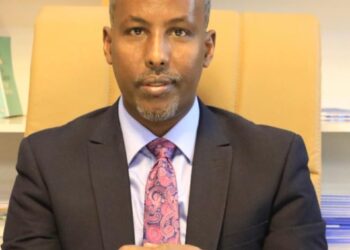 Puntland Cannot Be the Campaign Ground for Southern Politicians